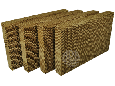 clca450-4