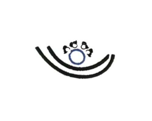 cdvsk