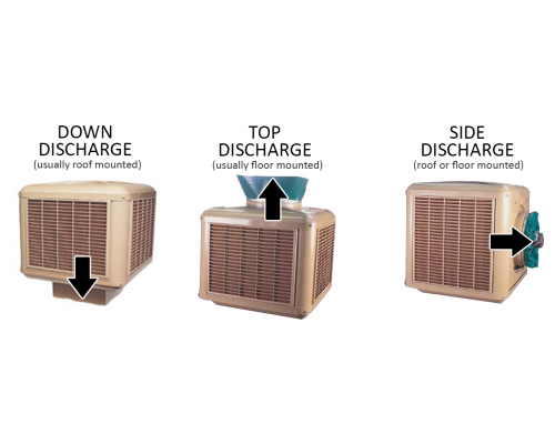 discharge types